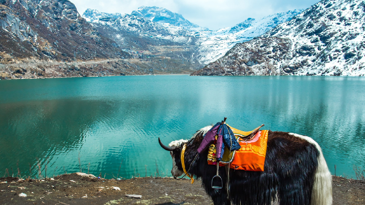 MG Marg Gangtok